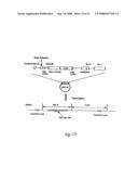 Circular DNA vectors for synthesis of RNA and DNA diagram and image