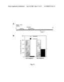 Circular DNA vectors for synthesis of RNA and DNA diagram and image