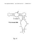 Circular DNA vectors for synthesis of RNA and DNA diagram and image