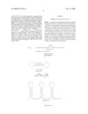 Circular DNA vectors for synthesis of RNA and DNA diagram and image