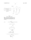 Circular DNA vectors for synthesis of RNA and DNA diagram and image