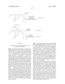 Circular DNA vectors for synthesis of RNA and DNA diagram and image