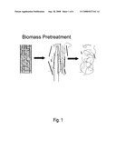 Biomass pretreatment diagram and image