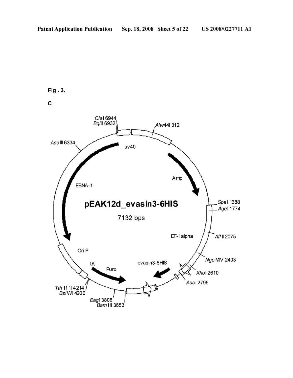 Cxc-Chemokine Antagonists - diagram, schematic, and image 06