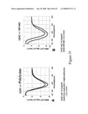 Small peptides for the treatment of alzheimer s disease and other beta-amyloid protein fibrillogenesis disorders diagram and image