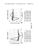 Small peptides for the treatment of alzheimer s disease and other beta-amyloid protein fibrillogenesis disorders diagram and image