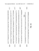 Glyphosate-tolerant 5-enolpyruvylshikimate-3-phosphate synthases diagram and image