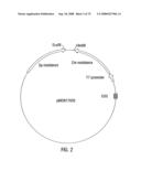 Glyphosate-tolerant 5-enolpyruvylshikimate-3-phosphate synthases diagram and image