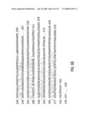 Glyphosate-tolerant 5-enolpyruvylshikimate-3-phosphate synthases diagram and image