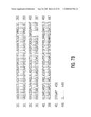 Glyphosate-tolerant 5-enolpyruvylshikimate-3-phosphate synthases diagram and image