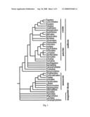 Plant Stress Tolerance from Modified Ap2 Transcription Factors diagram and image