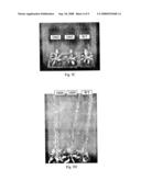 Plant Stress Tolerance from Modified Ap2 Transcription Factors diagram and image