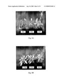 Plant Stress Tolerance from Modified Ap2 Transcription Factors diagram and image