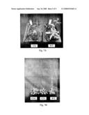 Plant Stress Tolerance from Modified Ap2 Transcription Factors diagram and image