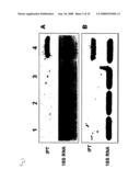 Method and composition for increasing plant survival & viability under cold storage, or dark and cold storage conditions diagram and image