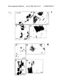 Method and composition for increasing plant survival & viability under cold storage, or dark and cold storage conditions diagram and image