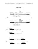 Recombinant DNA constructs and methods for controlling gene expression diagram and image