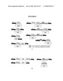 Recombinant DNA constructs and methods for controlling gene expression diagram and image