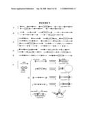 Recombinant DNA constructs and methods for controlling gene expression diagram and image