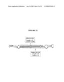 Recombinant DNA constructs and methods for controlling gene expression diagram and image