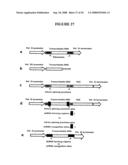 Recombinant DNA constructs and methods for controlling gene expression diagram and image