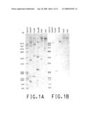 S-ADENOSYL-L-METHIONINE SYNTHETASE PROMOTER AND ITS USE IN EXPRESSION OF TRANSGENIC GENES IN PLANTS diagram and image