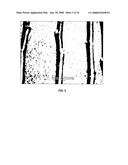 Apple tree named  Masonova  diagram and image