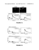 RAPID MULTI-TRACER PET IMAGING SYSTEMS AND METHODS diagram and image