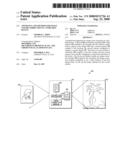 APPARATUS AND METHOD FOR IMAGE COLOR CORRECTION IN A PORTABLE DEVICE diagram and image