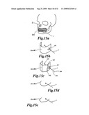 Display method of X-ray CT image of maxillofacial area, X-ray CT apparatus and X-ray image display apparatus diagram and image