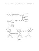 Diagnostic and therapeutic optical agents diagram and image