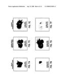 Diagnostic and therapeutic optical agents diagram and image