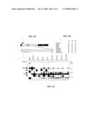 Methods and Compositions for Vaccination of Animals with Prrsv Antigens with Improved Immunogenicity diagram and image