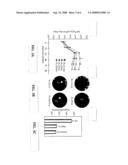 Methods and Compositions for Vaccination of Animals with Prrsv Antigens with Improved Immunogenicity diagram and image