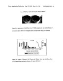 Use of Probiotic Bacteria in the Treatment of Infection diagram and image