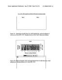 Use of Probiotic Bacteria in the Treatment of Infection diagram and image