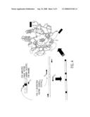 TARGETED ENZYMES diagram and image