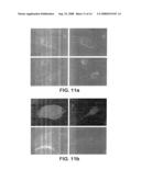 SELECTIVE DELIVERY OF MOLECULES INTO CELLS OR MARKING OF CELLS IN DISEASED TISSUE REGIONS USING ENVIRONMENTALLY SENSITIVE TRANSMEMBRANE PEPTIDE diagram and image