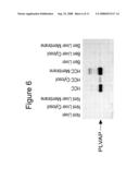 REDUCING TUMOR GROWTH diagram and image