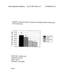 Pharmaceutical Compositions Comprising Old Man s Beard (Usnea Barbata) and St. John s Wort (Hypericum Perforatum) and Their Use diagram and image