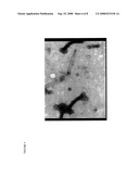 RESPIRATORY SYNCYTIAL VIRUS-VIRUS LIKE PARTICLE (VLPS) diagram and image