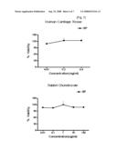 Composition Comprising the Extract of Siegesbeckiae Herba For Preventing and Treating Arthritis and the Use Thereof diagram and image