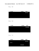 PNA Probes, Kits, and Methods for Detecting Lamivudine-Resistant Hepatitis B Viruses diagram and image