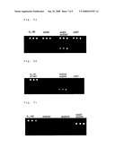 PNA Probes, Kits, and Methods for Detecting Lamivudine-Resistant Hepatitis B Viruses diagram and image