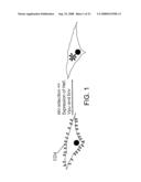 Inhibitors of viral entry screening method diagram and image