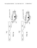 Inhibitors of viral entry screening method diagram and image