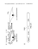 Inhibitors of viral entry screening method diagram and image