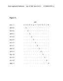 Inhibition of HIV-1 Replication by Disruption of the Processing of the Viral Capsid-Spacer Peptide 1 Protein diagram and image