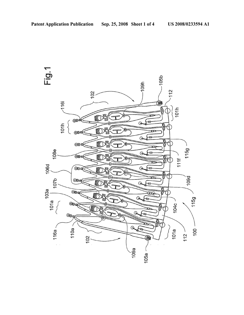 Method For Detecting An At Least Bivalent Analyte Using Two Affinity Reactants - diagram, schematic, and image 02