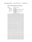 Biosynthetic gene cluster for leptomycins diagram and image